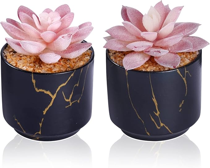 Succulent Artificial Plants,Cute Fake Succulents in 2 Black Ceramic Pots,Small Fake Plants for Office,Table,Desk,Bathroom, Bedroom,Aesthetic Room Shelves Decor,Desk Decorations for Women Office