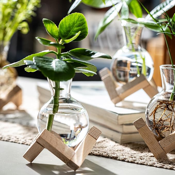 Propagation Stations, Propagation vases with Wooden Stand, Small Tabletop Glass Bulb Vases for Hydroponics Plant Propagation Station Home Office Decoration, Gift for Women Plant Lovers (6)