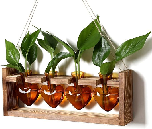 Plant Propagation Stations Heart Plant Terrarium Kit Gift for Women Plant Lover Glass Vases