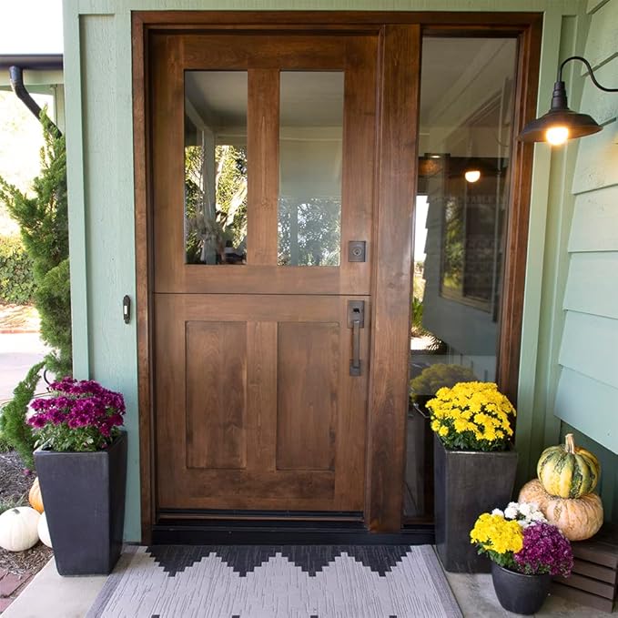 1G Yellow Mum Plant, Chrysanthemum Flowers Gardening Fall Decor, Mums Plants Live, Fall Decorations Outdoor, Housewarming Gift Ideas, Real Live Plants Indoor Plants Live Houseplants By Plants for Pets