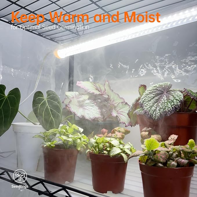 Bstrip Indoor Greenhouse with Grow Light, Mini Green house with 4 Pack T8 Full Spectrum Plant Lights with Timer, Plant Shelf with Tent for Indoor Plant, Seed Starting, Seed Tray, 29.5"x13.8"x59"