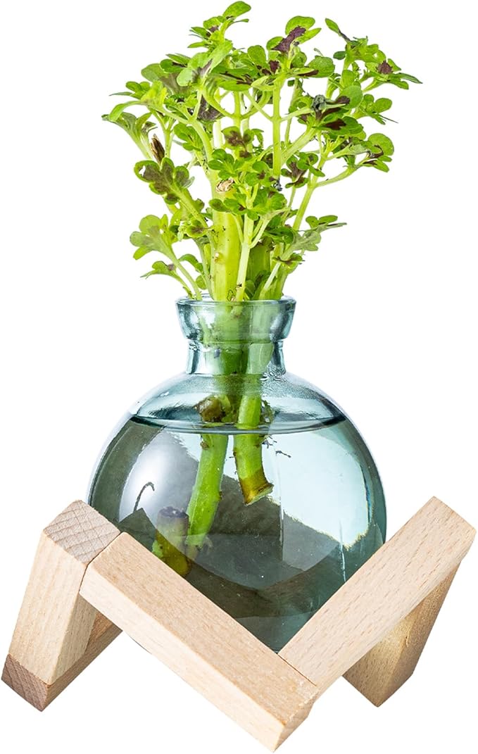 Plant Propagation Station, Plant Terrarium with Wooden Stand for Hydroponic Plant Propagation, Propagation Vases for Plants, Green Glass Bulb Vases for Home Office Decor (1)