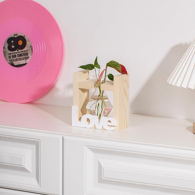 Cute Room Decor Home Decor Office Decor Desk Accessories Women Birthday Present Wife Ideas Propagation Station Vases Plant Terrarium Stuff Grandma Items Valentinesday Decorations for Her