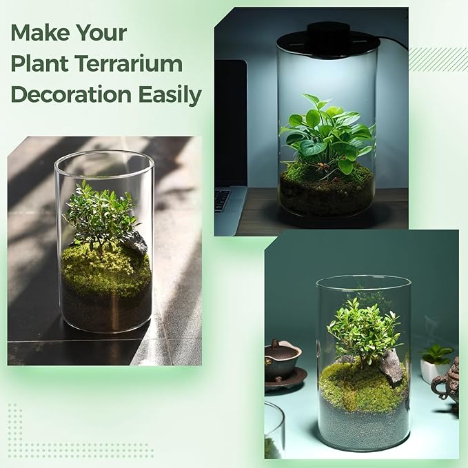 Mini Desktop Glass Plant Terrarium with Grow Light - Planter for Succulent Moss Miniature Gardening Landscape, Fish Tank Indoor Plant Growth Office Home Decoration Plant Lovers Gifts