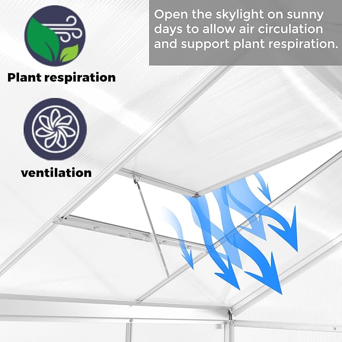 6 x 6FT Greenhouse for Outdoors,Polycarbonate Garden Backyard,Silver