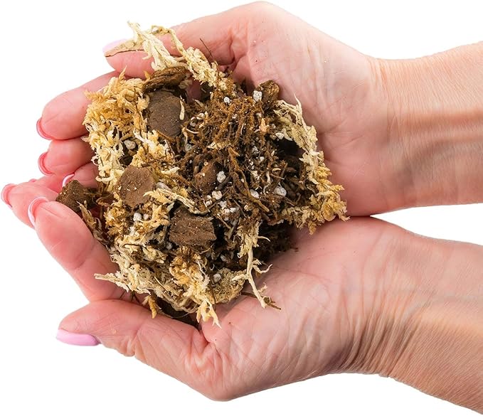 Premium Orchid Mix by GARDENERA - 20 Quart - Fern + New Zealand Pine Bark + Sphagnum Moss + Perlite | Best for Growing and Repotting Orchids (4 Bags of 5 QT)