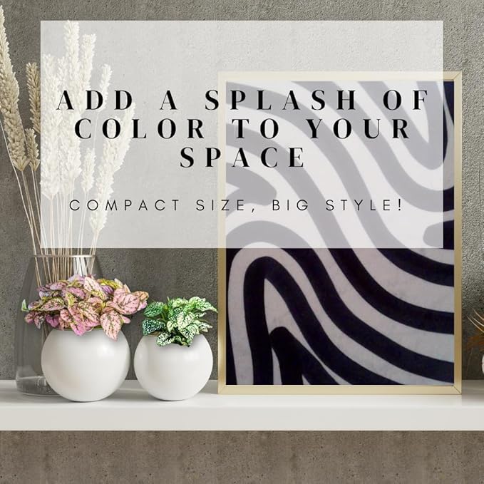 Polka Dot Plant Collection (4-Pack) - Live Houseplants, Small Indoor Plants, Hypoestes (Red, White, Rose, and Pink) - Colorful, Air-Purifying House Plants (Collection)