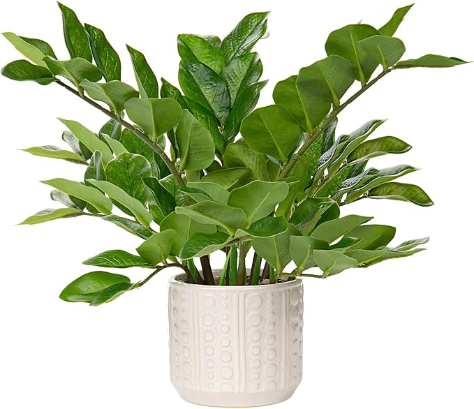 Briful Faux Plants Indoor 17" Artificial ZZ Plants in Ceramic Pot Fake Potted Zamioculcas Silk Plants for Home Table Decor Bedroom Aesthetic (1Pack)