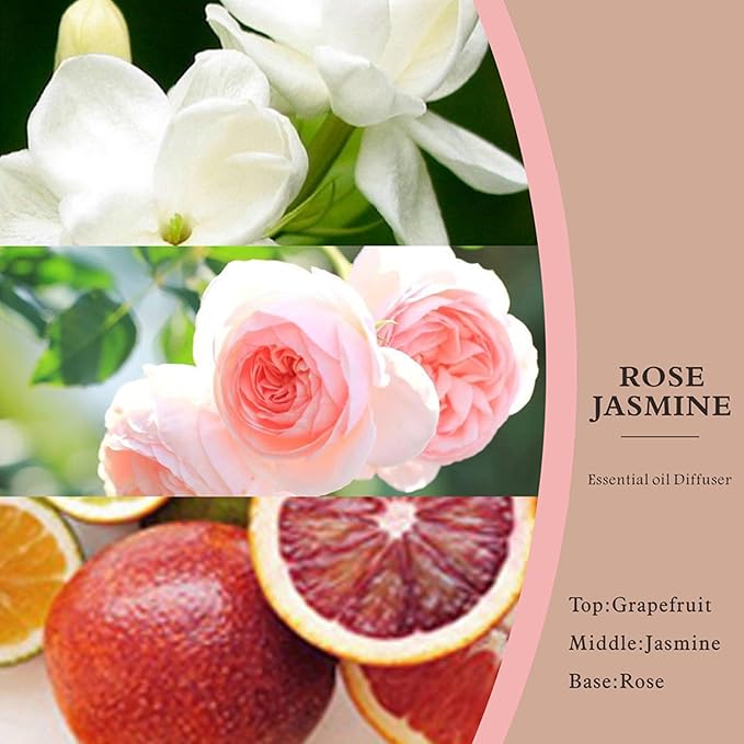 Reed Diffuser Set -8.4 fl oz Scent Diffuser with 6 Reed Sticks, Home Fragrance,Reed Diffuser for Bathroom Shelf Decor (Jasmine Rose)