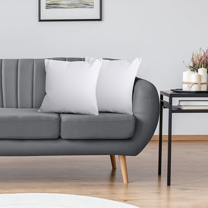 Utopia Bedding Throw Pillows Insert (Pack of 2, White) - 14 x 14 Inches Bed and Couch Pillows - Indoor Decorative Pillow