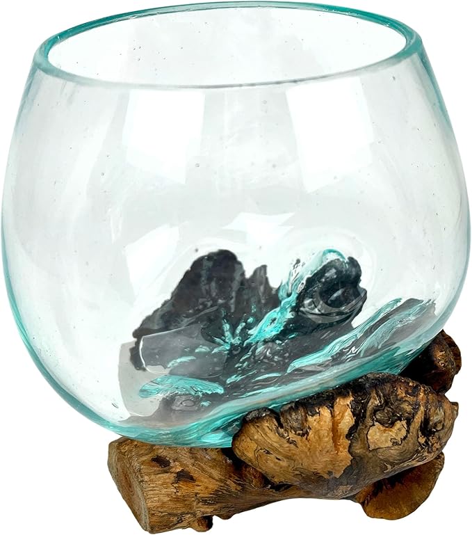 Melted Glass on Burl Wood Decorative Bowl, Vase, and Terrarium Planter - Approximately 5 Inches High - Nature-Inspired Artistry for Home and Garden
