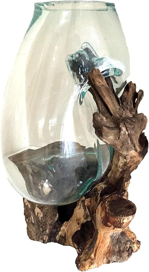 OMA Hand Blown Molten Glass on Driftwood Terrarium Vase or Planter – Recycled Glass & Natural Wood for Coastal & Boho Home Décor (12"–14" High)
