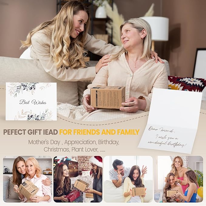 Glass Plant Spray Bottle, 13.5 oz small plant mister, Leak Proof Fine Mist Watering can with Adjustable Nozzle for Indoor Plants Lover, Gardening, Hair, Cleaning Solutions (Orange)