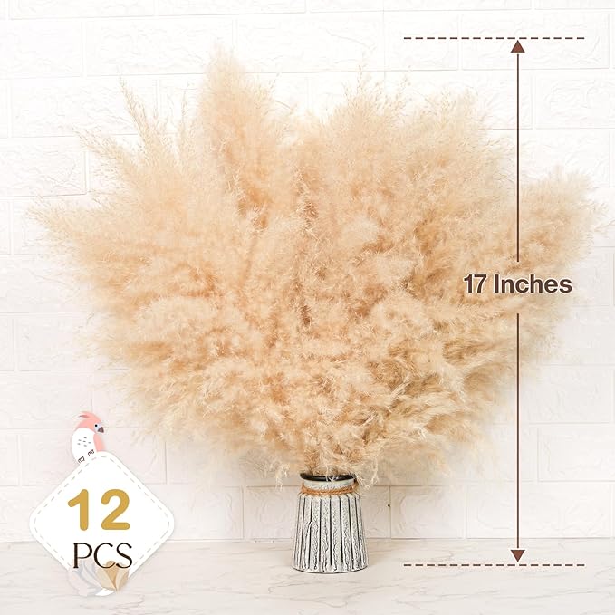 12 PCS 17inch Pampas Grass Decor-Natural Pompas Grass Floral-Short Fluffy Pampas Grass Bulk Flower for Small Boho vases,Boho Table Decor,Boho Bathroom Decor,Boho Room Decor