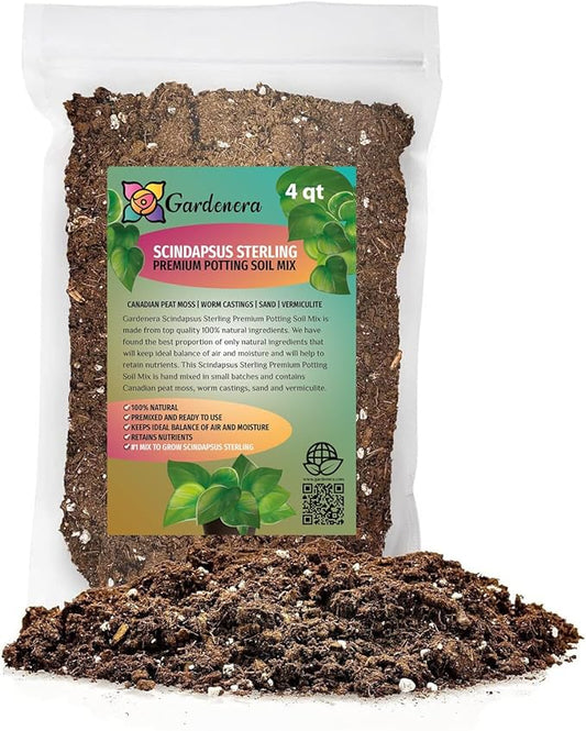 Scindapsus Sterling Potting Mix - Promote Strong Roots and Captivating Foliage with Our Premium Blend - 4 Quart