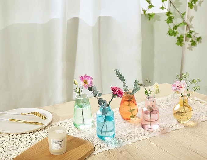 Mkono Propagation Vases for Plants, Set of 5 Small Glass Jar Planters for Hydroponic Cutting Flowers, Plant Station Bud Vases for Centerpieces Home Office Decor Gift (Colorful)