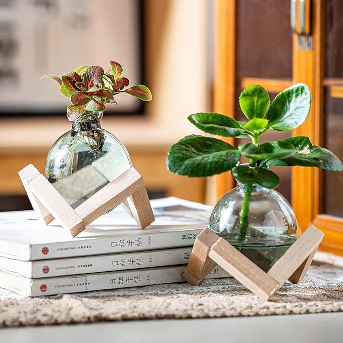 Plant Propagation Station, Plant Terrarium with Wooden Stand for Hydroponic Plant Propagation, Propagation Vases for Plants, Green Glass Bulb Vases for Home Office Decor (4)