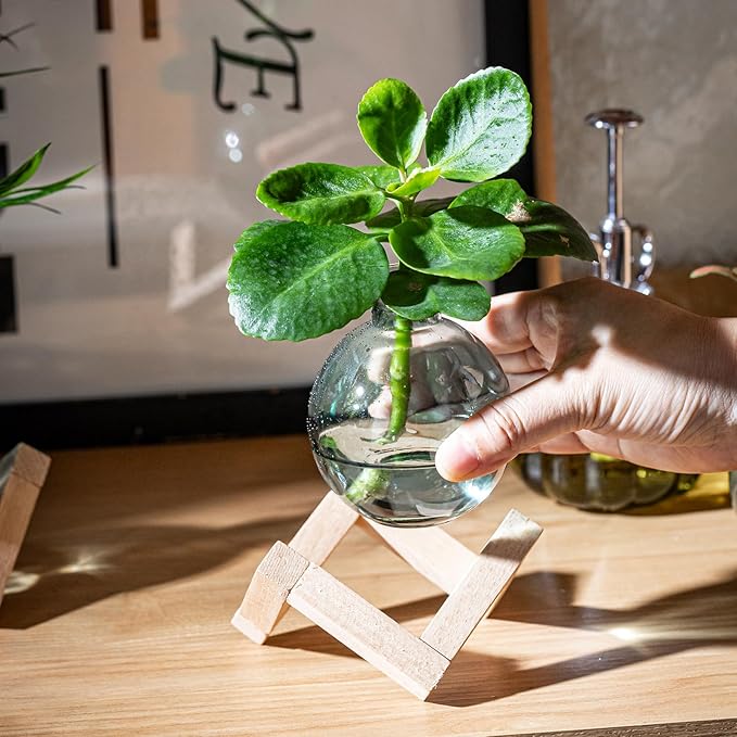 Plant Propagation Station, Plant Terrarium with Wooden Stand for Hydroponic Plant Propagation, Propagation Vases for Plants, Green Glass Bulb Vases for Home Office Decor (8)