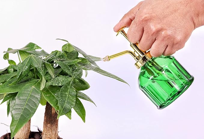 Glass Plant Mister - 6.5" Green Glass Water Spray Bottle with Gold Top Pump, Small Plant Sprayer for Indoor/Outdoor House Plants