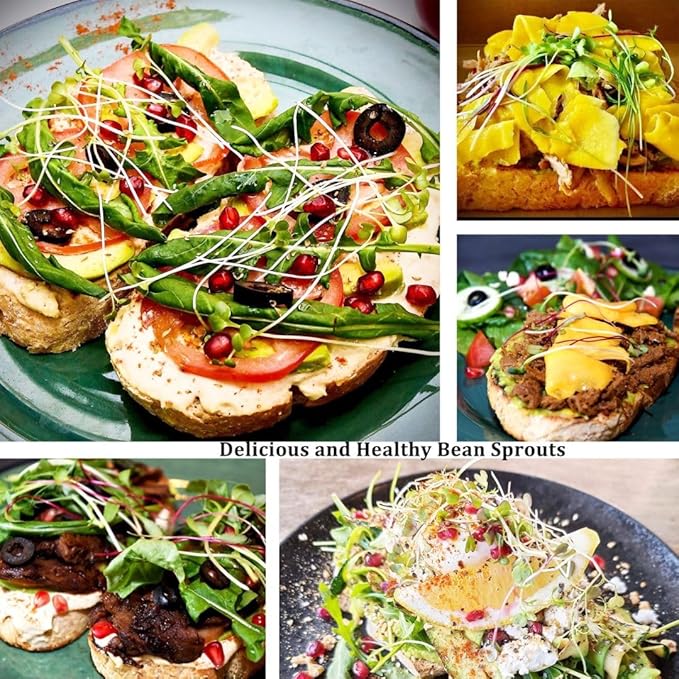 Organic Seed Sprouting Jar Kit – 2 × 32 oz Wide-Mouth Mason Jars with Stainless-Steel Sprouter Lids & Stand, Blackout Sleeves, Drain Tray – Grow Broccoli, Alfalfa & Bean Microgreens