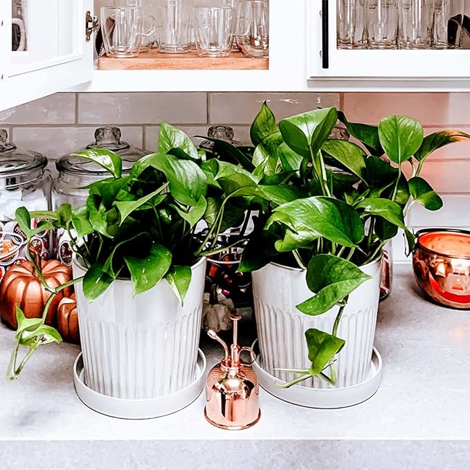 Watering Can Indoor Plants - Copper Plant Mister - Stylish and Rust Resistant Watering Cans for Healthy Hydration - Prevents Overwatering