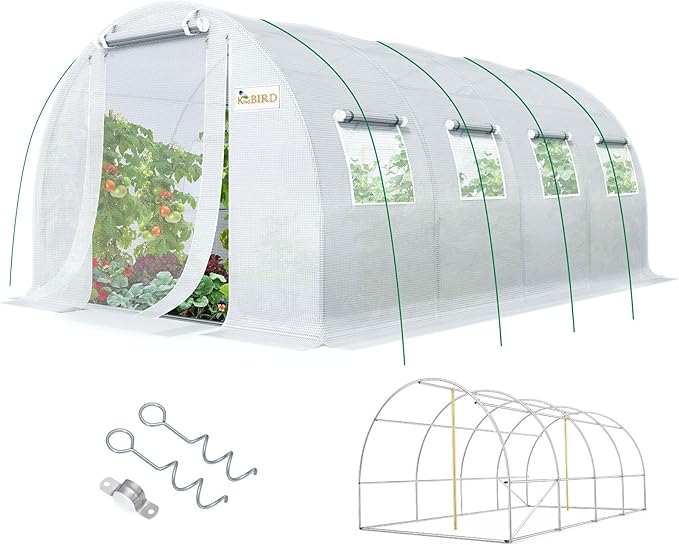 KING BIRD Premium 20x10x6.6FT Greenhouse for Outdoors, Large Walk-in Heavy Duty Galvanized Steel Frame, Mesh Door Screen Window Upgraded Zipper Tunnel Hoop for Garden Plant Winter, White