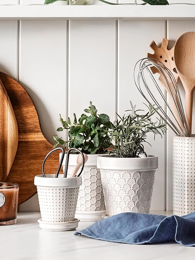 LE TAUCI 3 Inch Mini Succulent Pots - Very Small Ceramic Planter with Saucer, Tiny Embossed Flower Pots for Lithops, Mini Cactus, Air Plants, Fairy Gardens - Indoor Home Decor, Set of 4, Arctic White