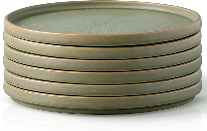 AmorArc Stoneware Dinner Plates Set of 6, 10.5 Inch Reactive Matte Glaze Ceramic Plates Set, Modern Dinnerware Dish set for Kitchen, Microwave, Dishwasher Safe