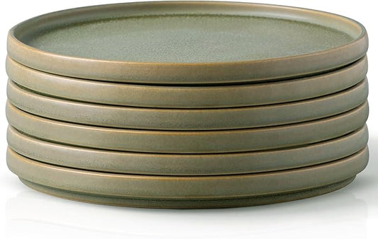 AmorArc Stoneware Dinner Plates Set of 6, 10.5 Inch Reactive Matte Glaze Ceramic Plates Set, Modern Dinnerware Dish set for Kitchen, Microwave, Dishwasher Safe