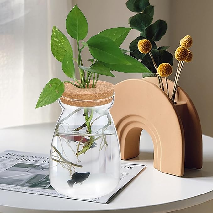 Glass Plant Jar -Plants Propagation Station - Micro Landscape Terrarium Container Desktop Plant Jar Hydroponic Vases Gardening for Plant Lovers(Size L)