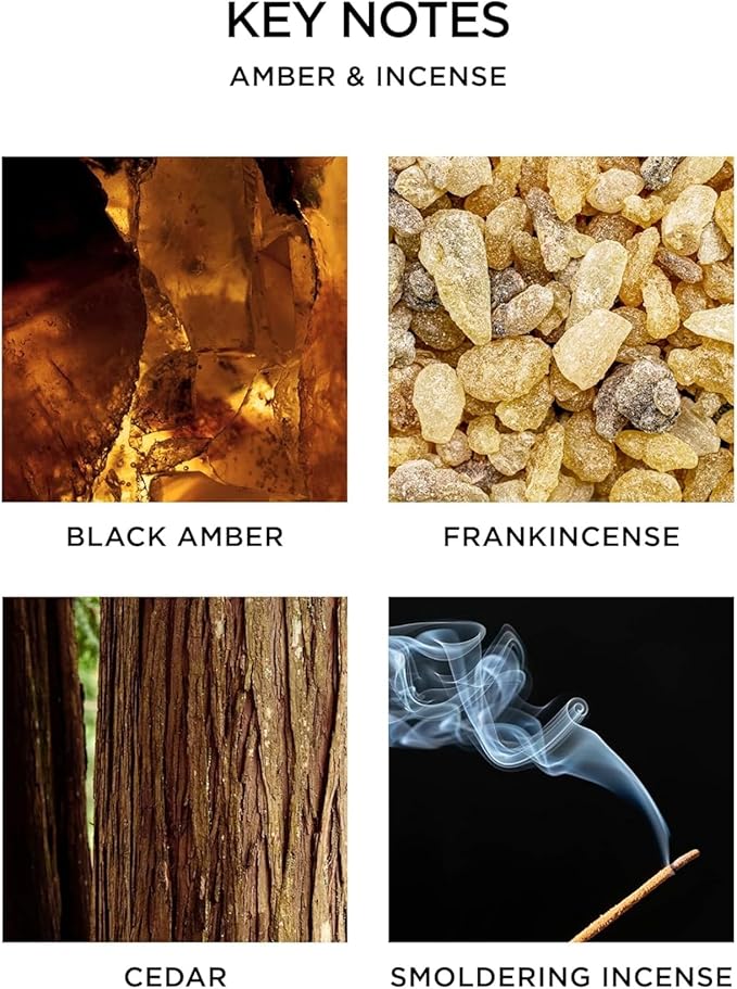 NEST New York Scented 3-Wick Candle, Amber & Incense - 21.2 oz - Up to 100-Hour Burn Time - Reusable Glass Vessel