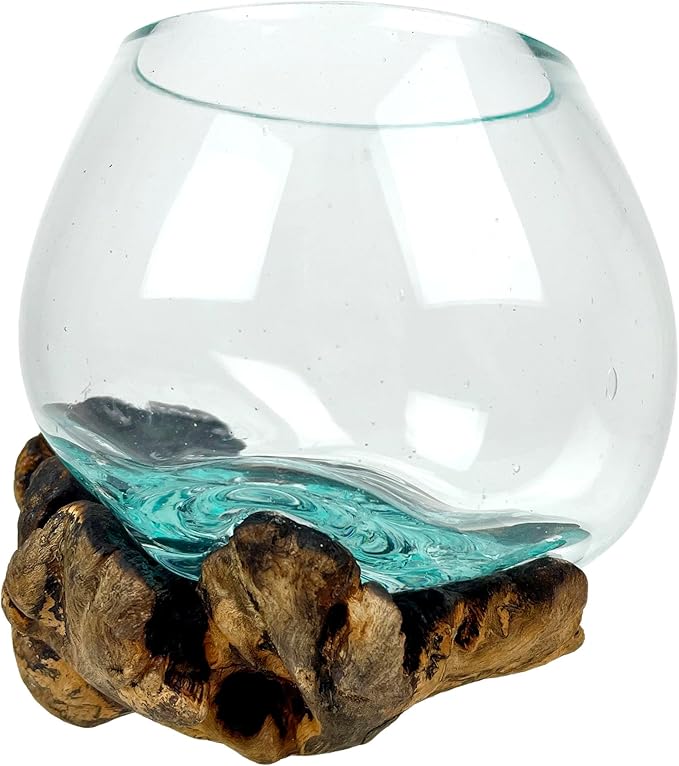 Melted Glass on Burl Wood Decorative Bowl, Vase, and Terrarium Planter - Approximately 5 Inches High - Nature-Inspired Artistry for Home and Garden