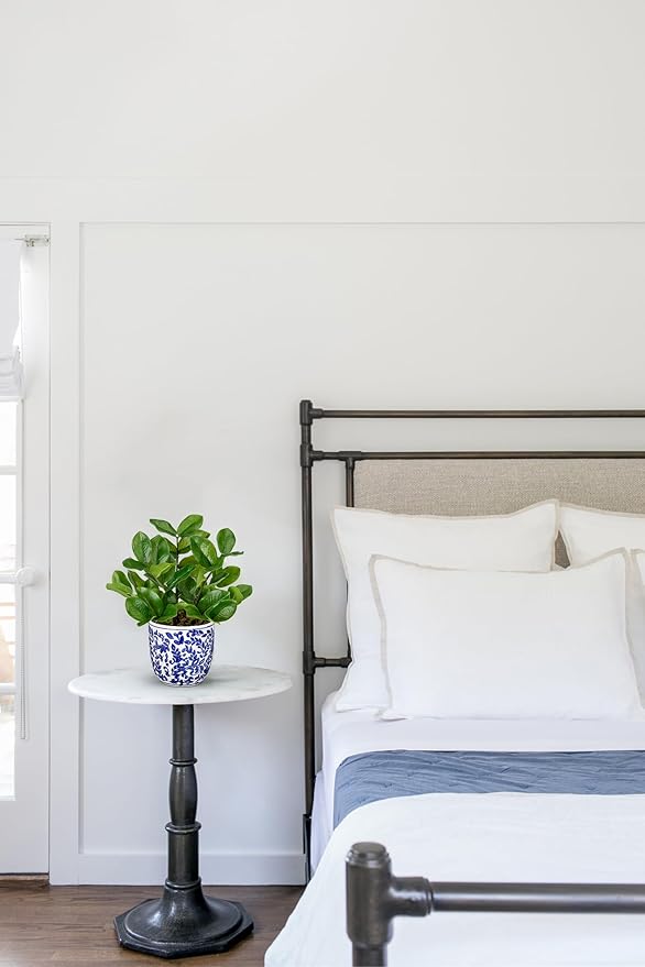 Briful Faux Plants Indoor 11.8in Fake ZZ Silk Plant in Blue and White Ceramic Pot Realistic Artificial Tropical Plant for Home Office Room Kitchen Shelf Decor