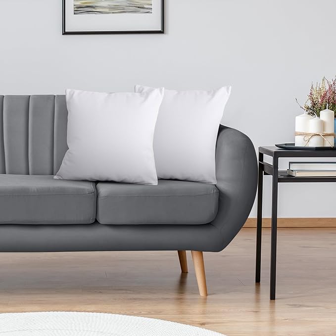 Utopia Bedding Throw Pillows Insert (Pack of 2, White) - 22 x 22 Inches Bed and Couch Pillows - Indoor Decorative Pillow