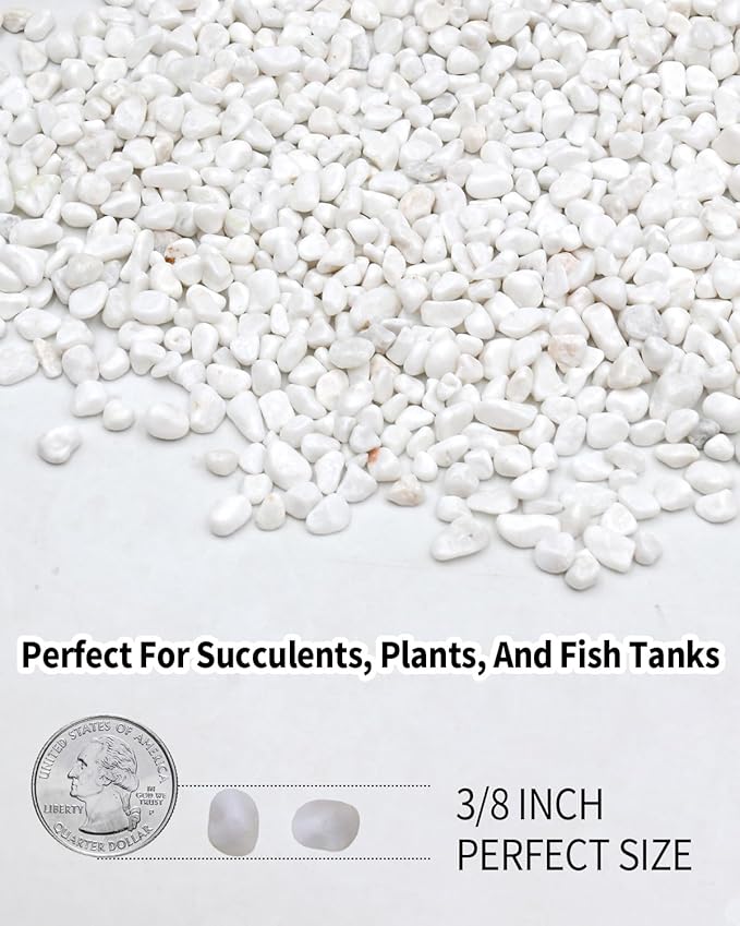 12LB White Succulent & Cactus Gravel Pebbles - 1/4-3/8 Inch Natural Polished River Rocks, Decorative Stones for Plants, Terrariums, Vases, Aquariums & Outdoor Gardening