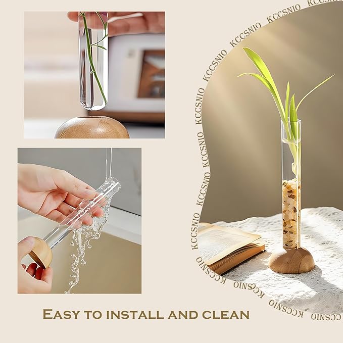 Desktop Glass Plant Propagation Station with 1 Tubes and Wooden Stand - Hydroponic Plant Cuttings Holder for Office Desk, Home Decor, Terrarium