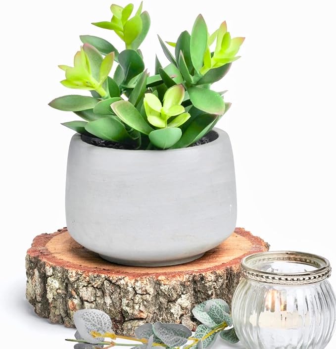 Kurrajong Farmhouse Artificial Plant | 7" Fake Plant | Artificial Succulent in Pot | Faux Plant Indoor | Succulent Plant Artificial for Desk Decor