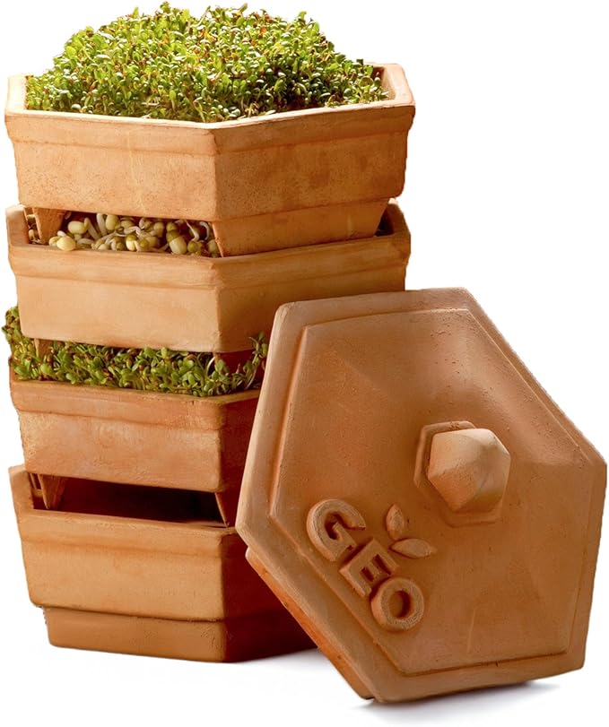 GEO Terradisiena 4-Tier Terracotta Sprouter