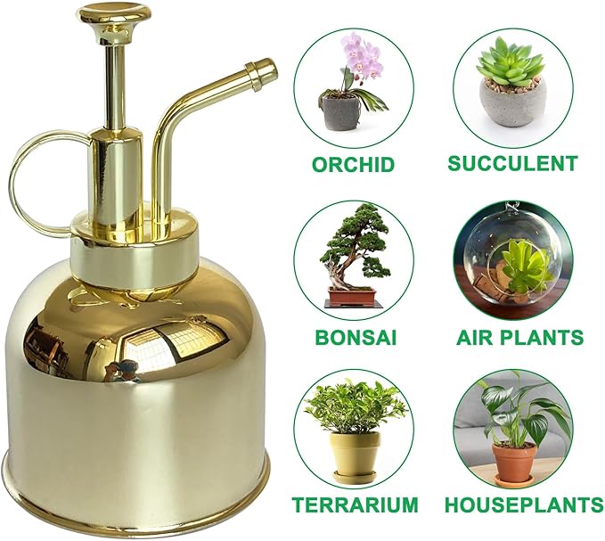 Stainless Steel Plant Sprayer, Small Watering Can Modern Gardening Tool for Indoor Potted Plants Watering and Spraying