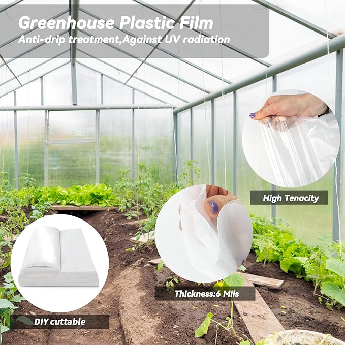 12x50 Ft Clear Greenhouse Film Plastic Sheeting, Greenhouse Polyethylene Plastic Film 6 mil Thickness Replacement Cover, UV Resistant, Plant Covers Freeze Protection for Windproof Frost& Dust Proof