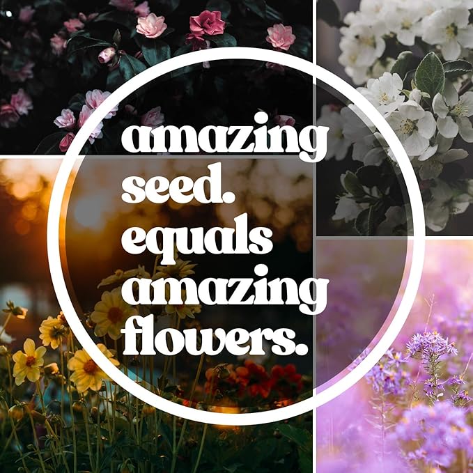 Wildflower Seeds Collection - 500,000+ Bulk Seeds - 6 Different Mixes Including Hummingbird & Butterfly, Save The Monarchs, Save The Bees, Shaded Woodland, Rocky Mountain, & Dryland Pollinator