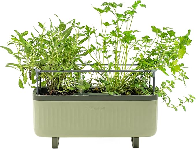 Vego garden Herb Indoor Plant Box, Self Watering Planters Pots for Indoor Plants with Trellis for Kitchen Window Sill or Countertop Plants Cage - Sage Green