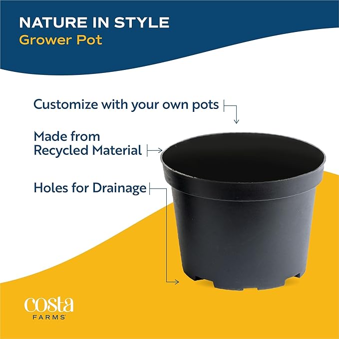 Costa Farms Live Indoor Plant Bundle in Plastic Pots, Easy to Maintain, Air Purifying Houseplants, Assorted Varieties, Room or Home Decor, House Warming Gift, 8-12 Inches Tall, Pack of 6