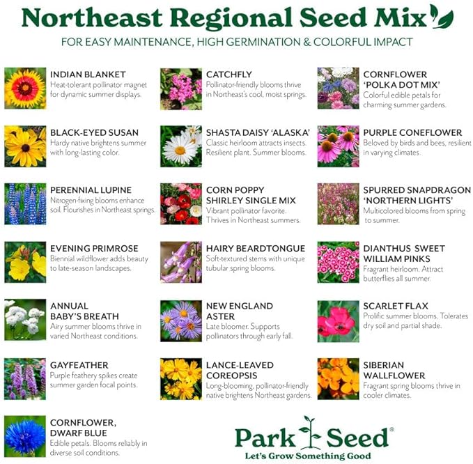 Park Seed Grow Your Own Vibrant Annual and Perennial Wildflower Garden Seeds Mixture, Easy to Grow Varieties for Pollinators and Spring Gardens - Northeast Regional Mix, 1/4 lb