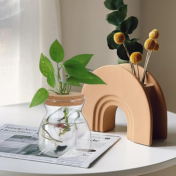 Glass Plant Jar -Plants Propagation Station - - with Wood Lid- Micro Landscape Terrarium Container Desktop Plant Jar Hydroponic Vases Gardening for Plant Lovers(Size)