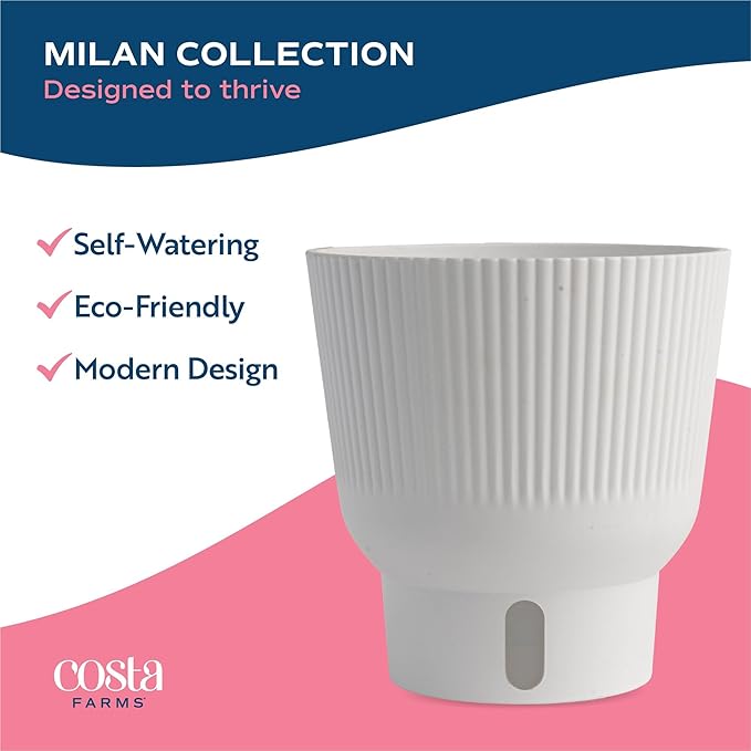 Costa Farms Philodendron Golden Crocodile Live Plant in Self Watering Pot, Air Purifying Indoor Houseplant, Home, Room, or Office Decor, House Warming or Birthday Gift, 12-18 Inches Tall