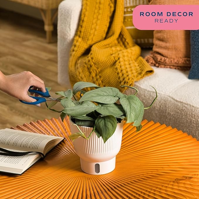 Costa Farms Scindapsus Platinum Java Live Plant in Self Watering Pot, Indoor Houseplant, Perfect for Home, Room, or Office Decor, Great House Warming or Birthday Gift, 9-12 Inches Tall