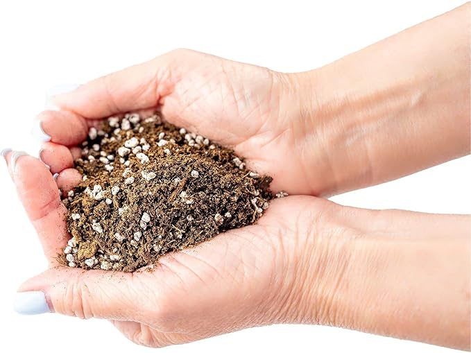 Premium Organic Potting Soil, Succulent & Cactus Soil Mix, Fast Draining Pre-Mixed Blend - Horticultural Perlite (25%) + Peat Moss (75%) - Made in USA - 2 Quart