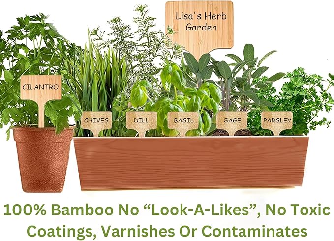 100 Pcs Large 8" Tall Garden Label Plant Signs Eco-Friendly Compostable to Easily Identify Plants, Seeds, Bulbs, Flowers, Vegetables