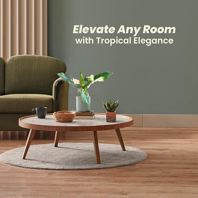 Alocasia Appaloosa Gold Live Plant – Rare Alocasia Macrorrhiza with Variegated Foliage – Tropical Indoor Plant Fresh from Florida Nursery – Unique Elephant Ear Houseplant for Home Décor